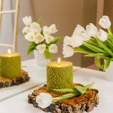 Luna Arcos Nature & Wellness 4* 아르코스 데 발데베즈