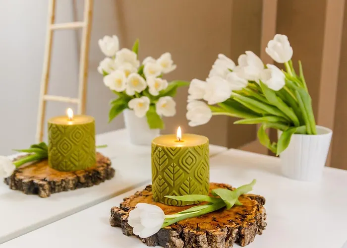 Luna Arcos Nature & Wellness 4* Arcos de Valdevez